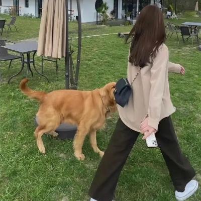 尸袋